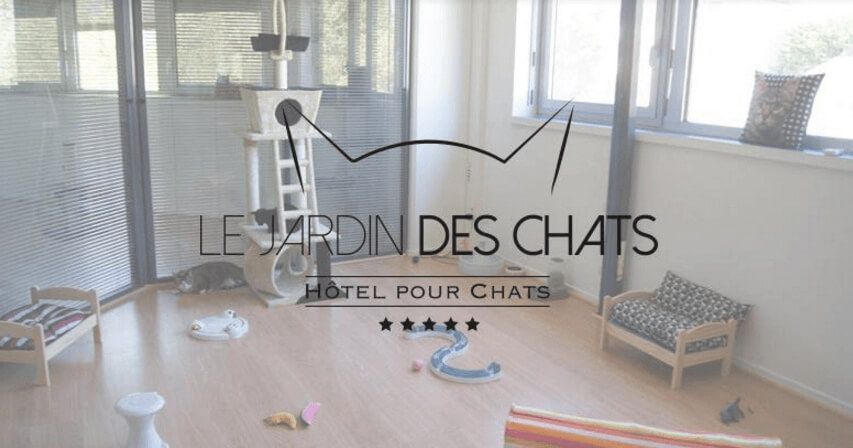 un-hotel-pour-chats-a-prix-tout-doux