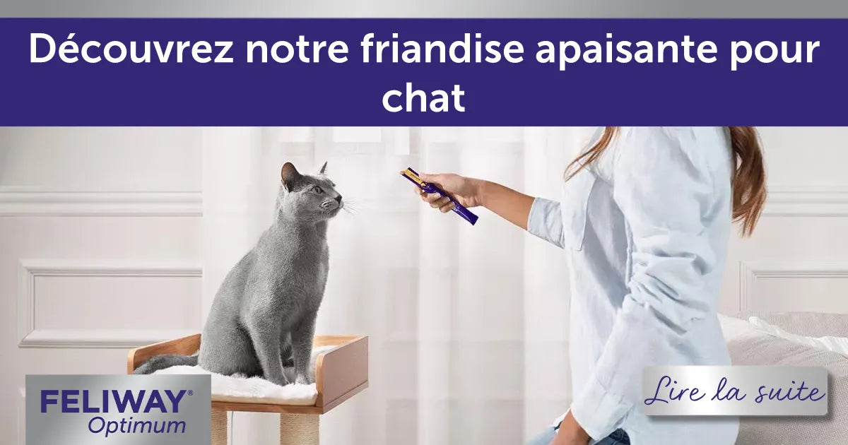 Happy Snack by FELIWAY : la nouvelle friandise apaisante pour chat