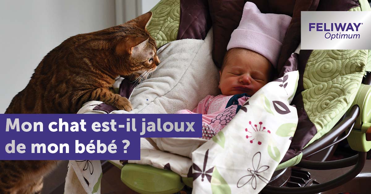 Mon chat est-il jaloux de mon bébé ?