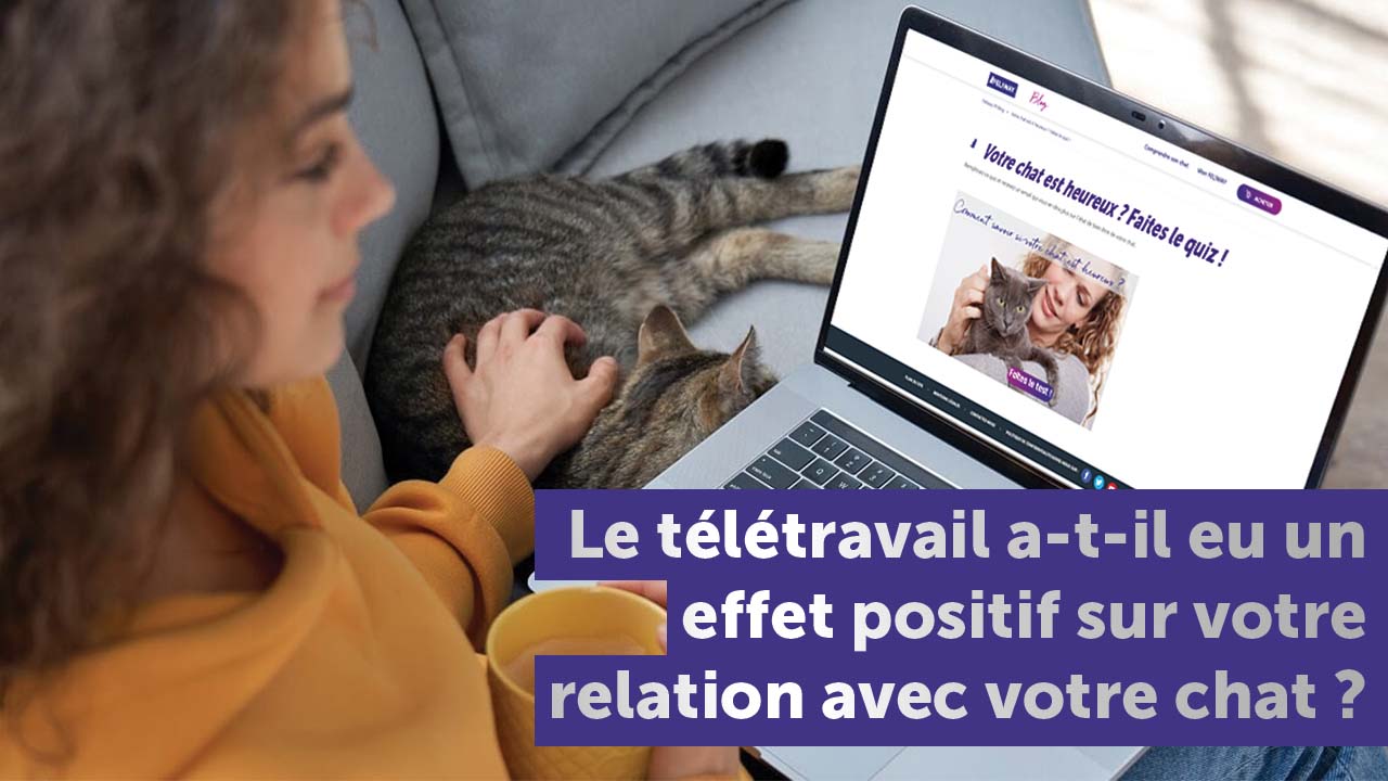 teletravail-effet-positif-relation-chat