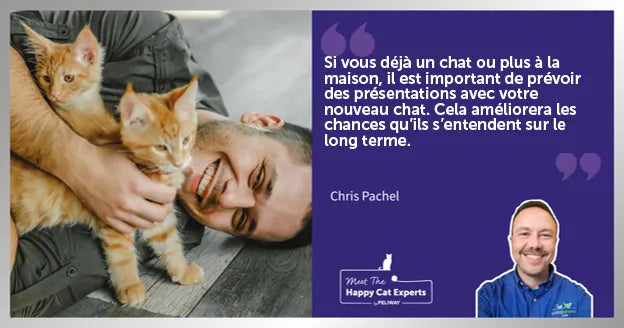 Comment présenter un nouveau chat à mon chat ?