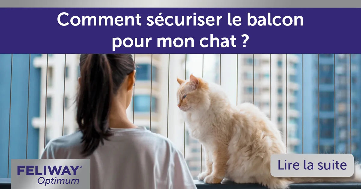 Comment sécuriser le balcon pour mon chat ?