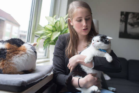 Comment les chats communiquent entre eux ?