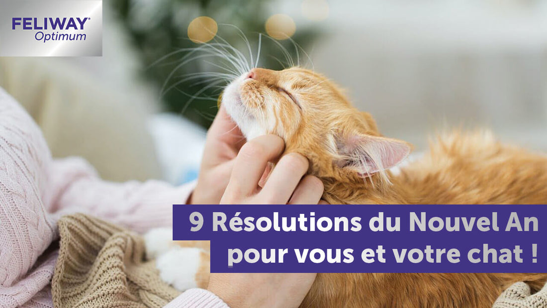 9-resolutions-du-nouvel-an-pour-vous-et-votre-chat
