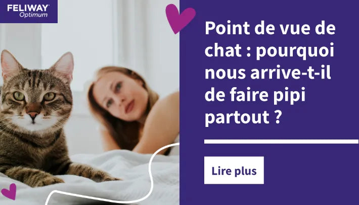 Une femme allongée derrière un chat couché sur une couverture.  
