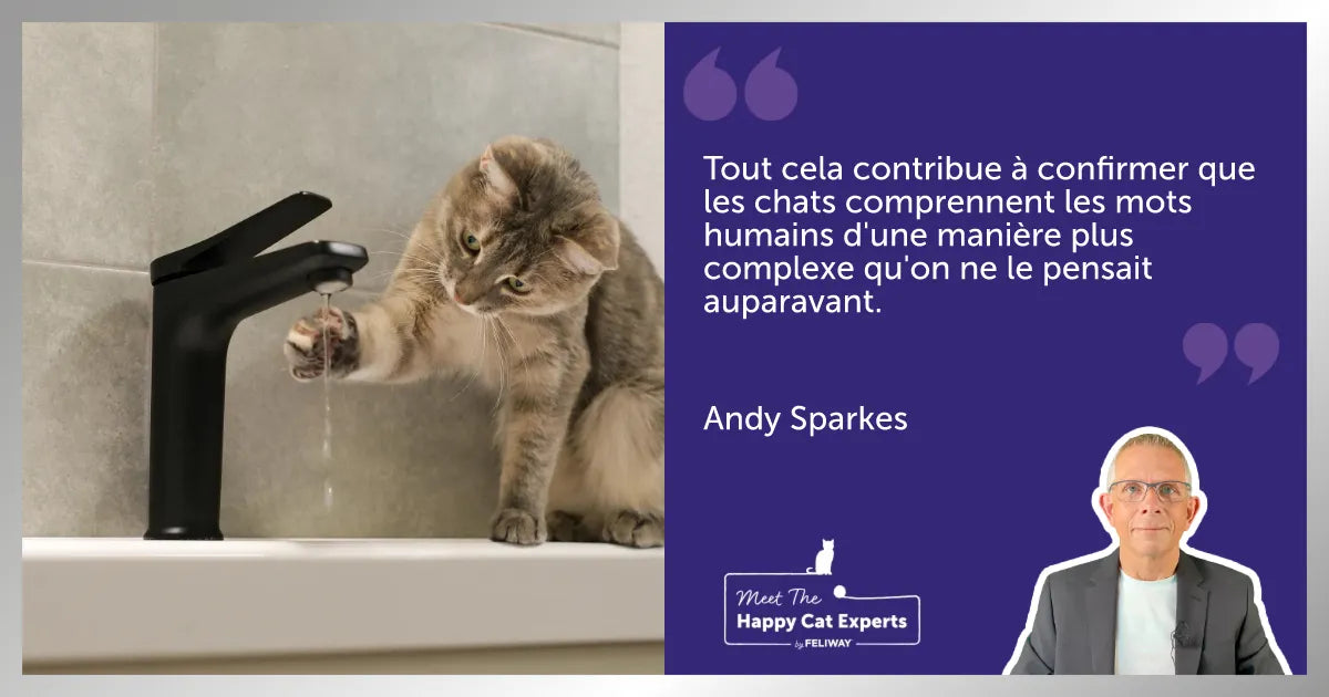 Un chat assis à côté d’une femme sur un banc reçoit des caresses.