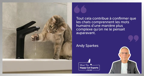 Un chat assis à côté d’une femme sur un banc reçoit des caresses.