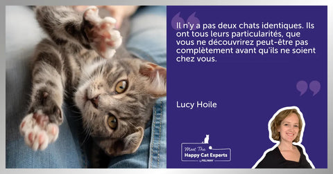 Petit chat gris allongé sur les genoux de quelqu’un.