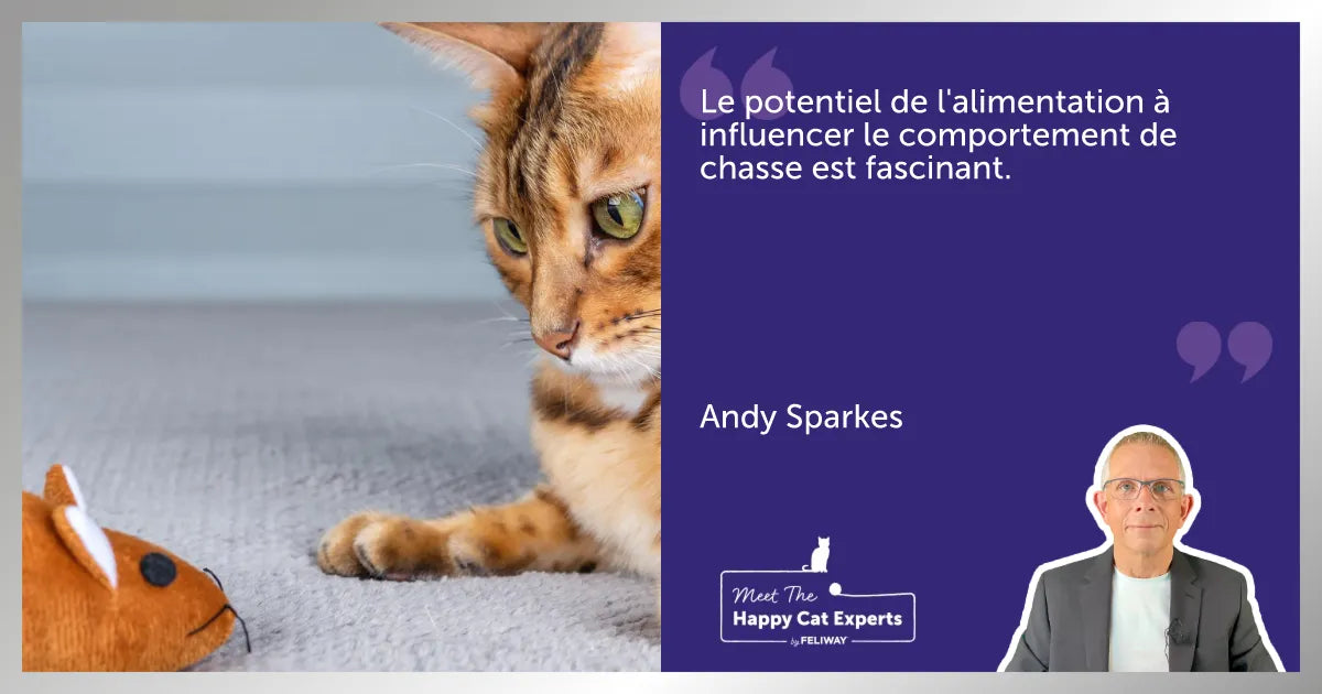 Comment empêcher un chat de chasser : Un expert vous explique !