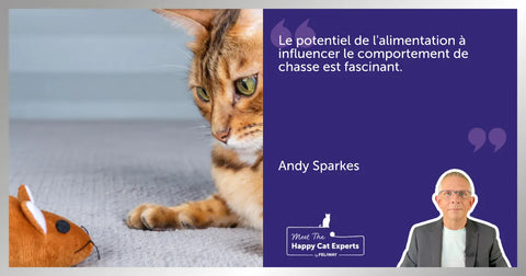 Comment empêcher un chat de chasser : Un expert vous explique !