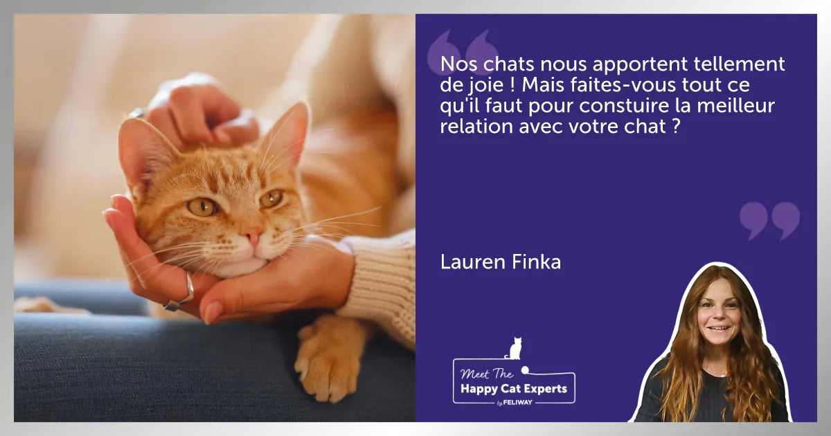 Comment renforcer sa relation avec son chat