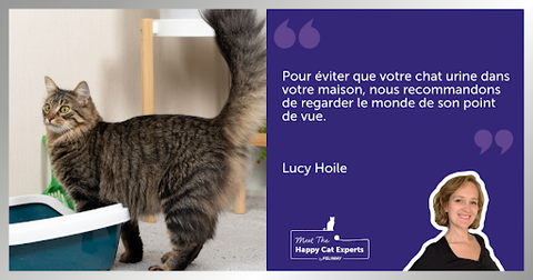 Un chat domestique près de sa litière dans un salon.