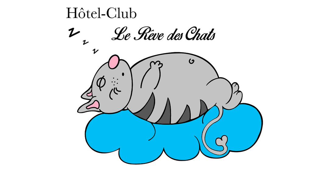 hotel-club-le-reve-des-chats