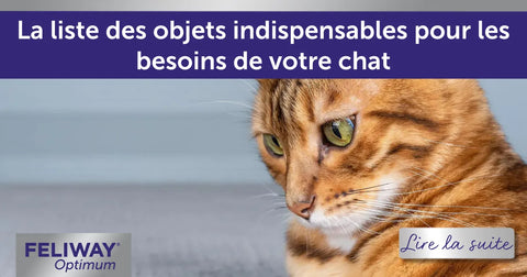 La liste des objets indispensables pour les besoins de votre chat