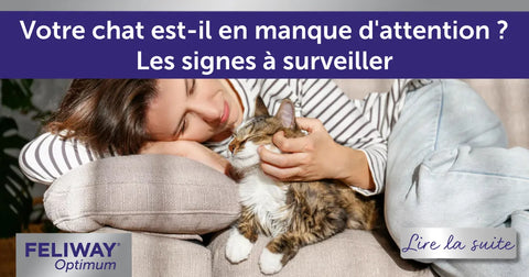 Votre chat est-il en manque d'attention ? Les signes à surveiller