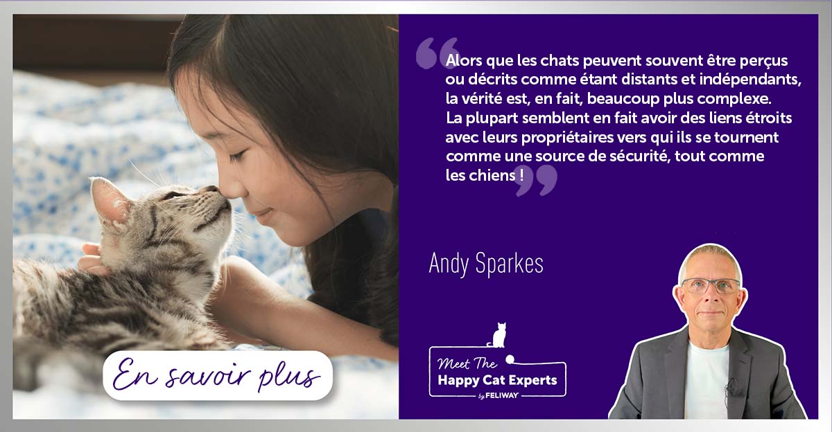 les-chats-sont-ils-distants-et-indépendants-ou-simplement-incompris