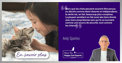 les-chats-sont-ils-distants-et-indépendants-ou-simplement-incompris