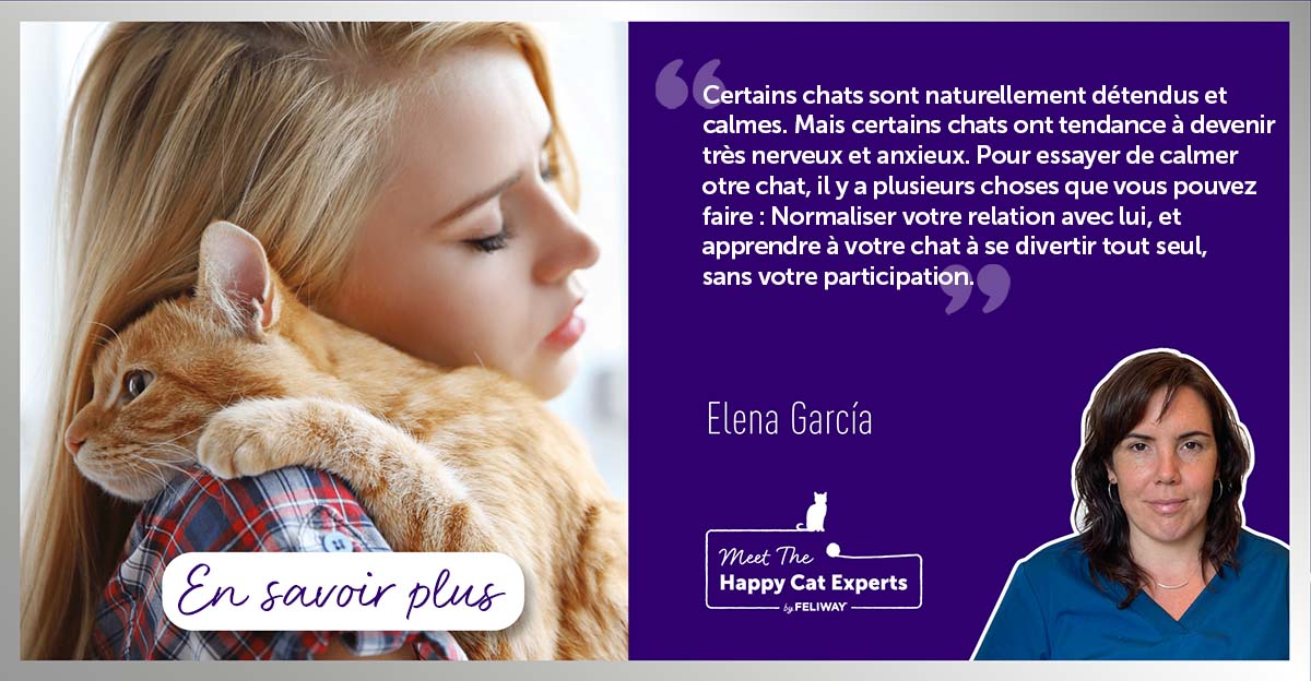 comment-puis-je-aider-mon-chat-nerveux-lhistoire-de-tim