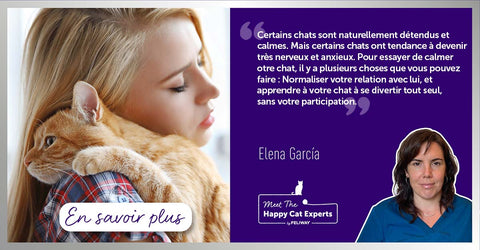 comment-puis-je-aider-mon-chat-nerveux-lhistoire-de-tim