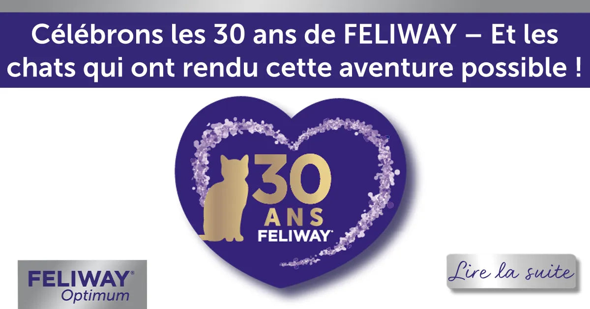 FELIWAY célèbre 30 ans d'expertise en comportement des chats