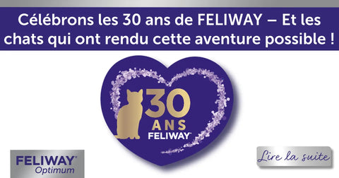 FELIWAY célèbre 30 ans d'expertise en comportement des chats