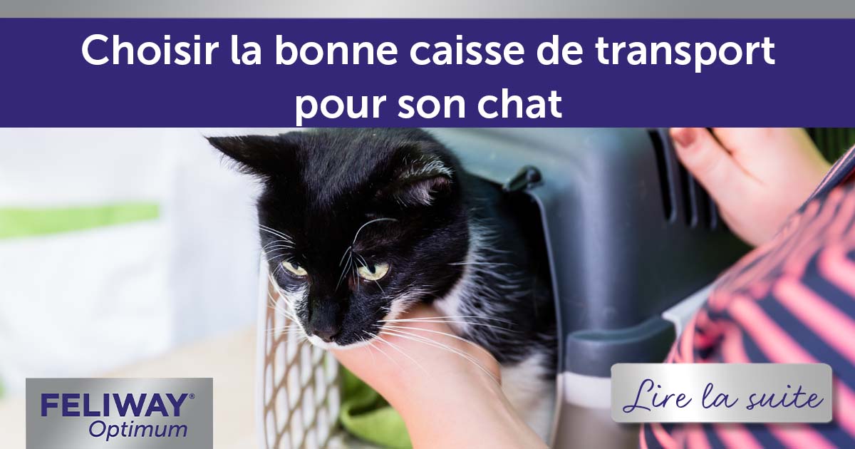 Comment choisir la bonne caisse de transport pour votre chat ? - FELIWAY  France