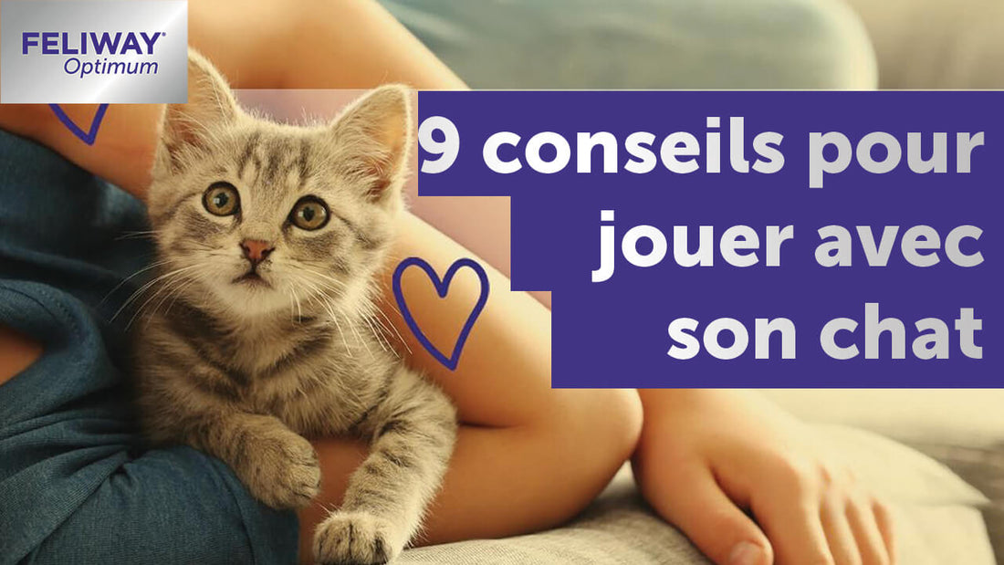 9-conseils-pour-jouer-avec-son-chat