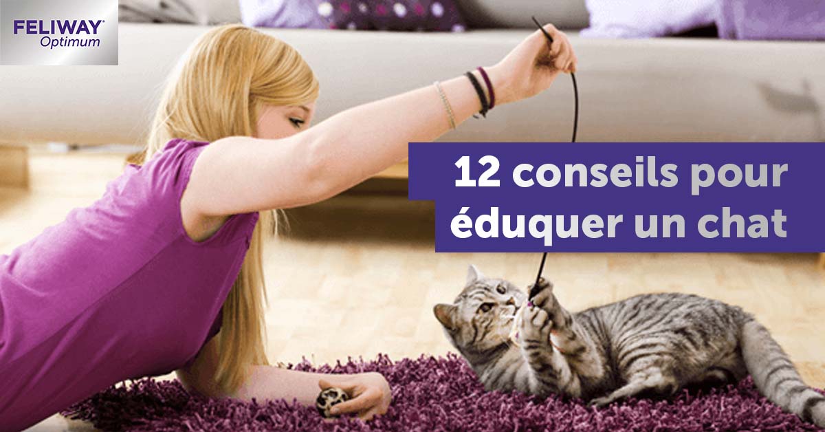 12-conseils-pour-eduquer-son-chat