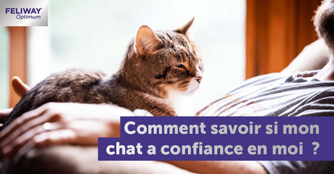 comment-savoir-si-mon-chat-a-confiance-en-moi