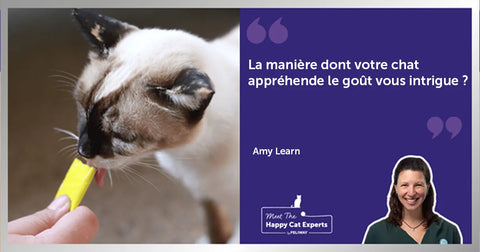 Les sens des chats : le goût