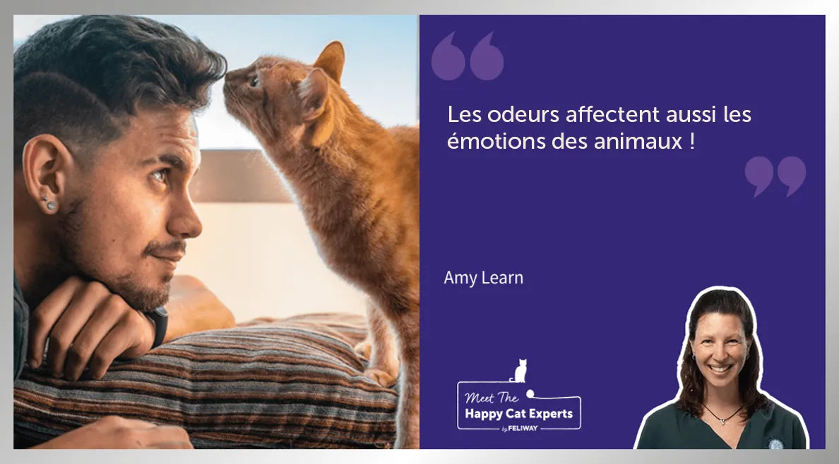Les sens des chats : l'odorat