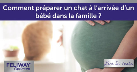 Comment préparer un chat à l’arrivée d’un bébé dans la famille ?