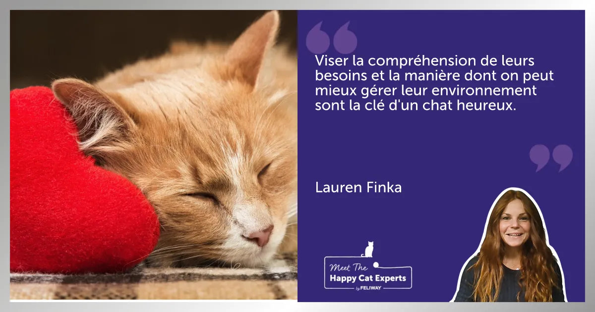 Comprendre la personnalité de votre chat : l'experte Lauren Finka vous explique !