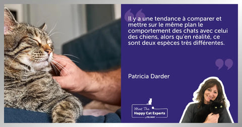 Améliorer la relation avec votre chat : Un expert vous explique !