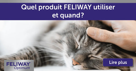 Quel produit FELIWAY utiliser et quand ?