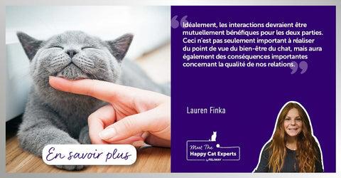 comment-interagir-avec-votre-chat-pour-quil-soit-heureux