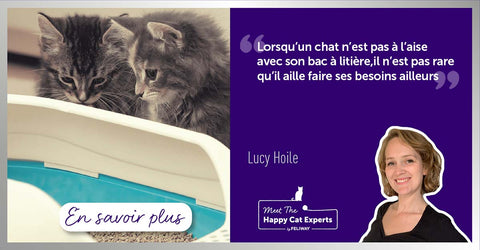8-conseils-pour-tout-savoir-sur-la-litiere-des-chats