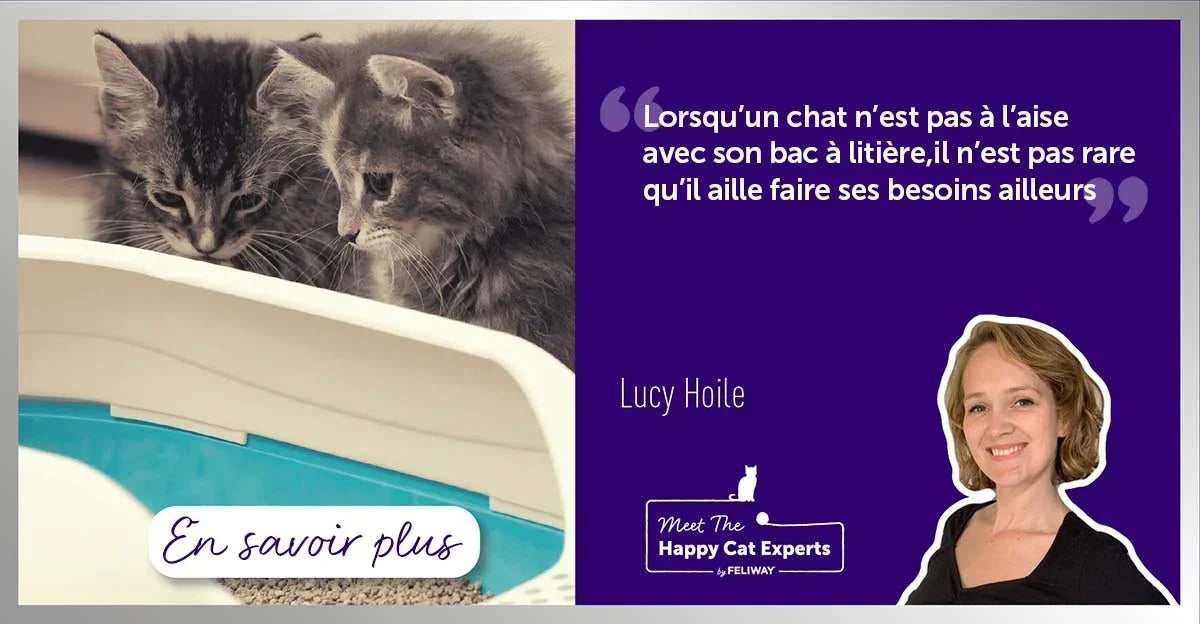 Happy Cat Expert : 8 conseils pour le bac à litière de votre chat