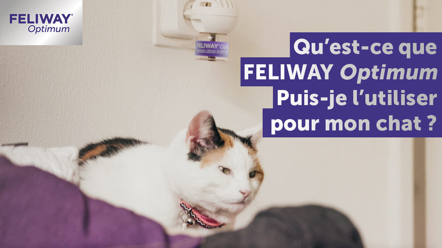 FELIWAY Optimum, développé pour le bien-être pour chat