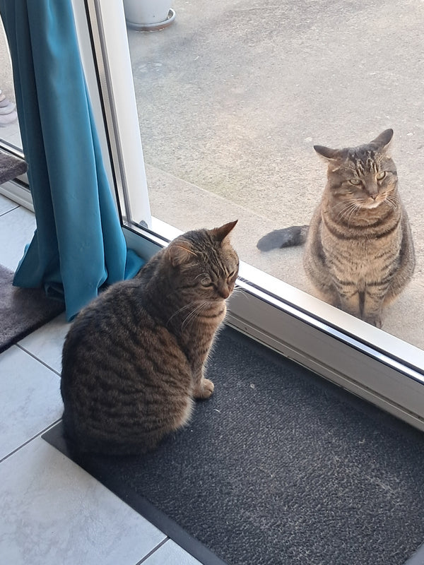 Annie G