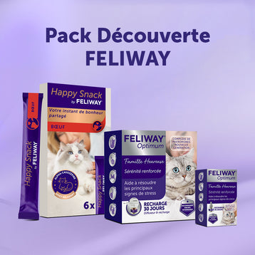 Discovery Pack - Boeuf