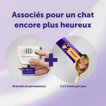 Routine Relaxation Initiale - Poulet