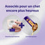 Routine Relaxation Initiale - Poulet