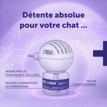 Routine Relaxation Initiale - Poulet