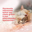FELIWAY Friends Kit Complet