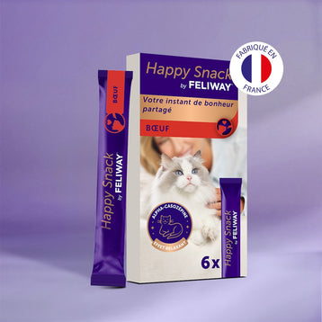 boeuf+6-x-sticks