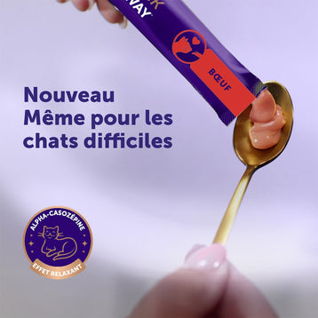 boeuf
