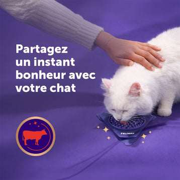 boeuf