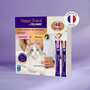 poulet+48-x-sticks
