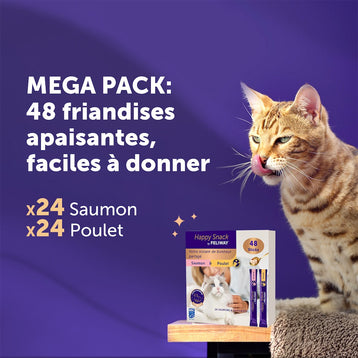 poulet+48-x-sticks